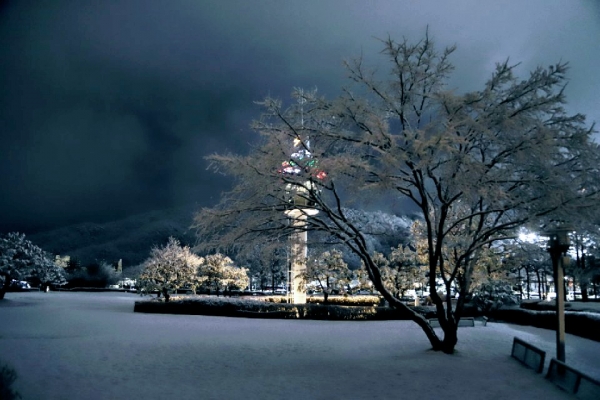 15일 강원도 홍천 지역에 내린 봄 눈이 내려 밤이되자 아름다운 '춘야설'을 연출하고 있다
