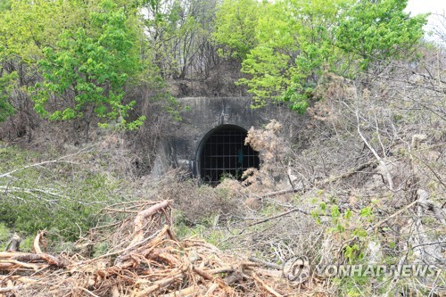 잡초 무성한 동해북부선 옛 터널