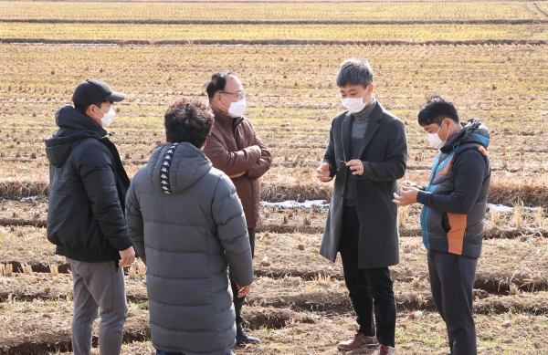 강진군 농업기술센터 직원이 올해 파종된 쌀귀리를 살펴보며 재배 기술을 지도하고 있다. /강진군