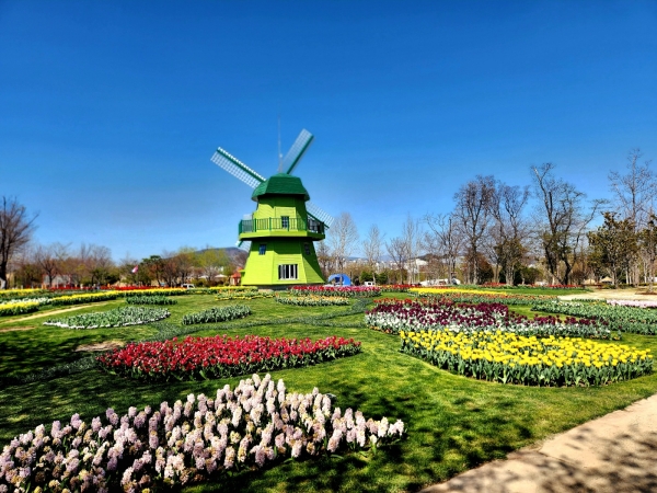 튤립과 풍차의 나라 '네델란드 정원' © 파이낸스투데이