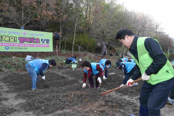 박준희관악구청장이 자원봉사캠프 봉사자들과 함께 감자 모종을 심고 있다