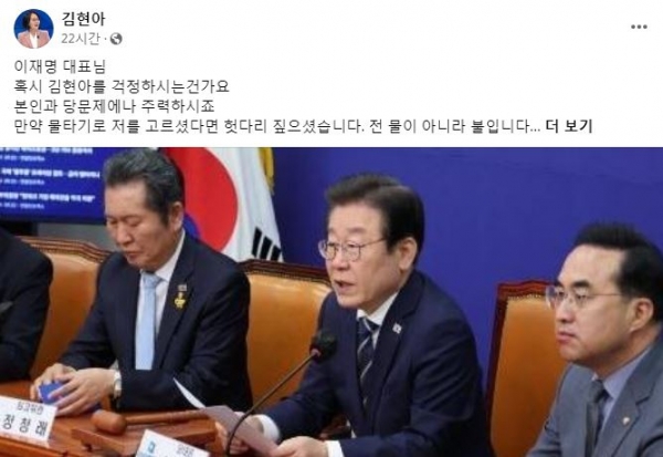 [출처=김현아 전 의원 페이스북 캡처]