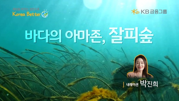 `바다의 아마존, 잘피숲` 영상 썸네일 / KB금융그룹 제공