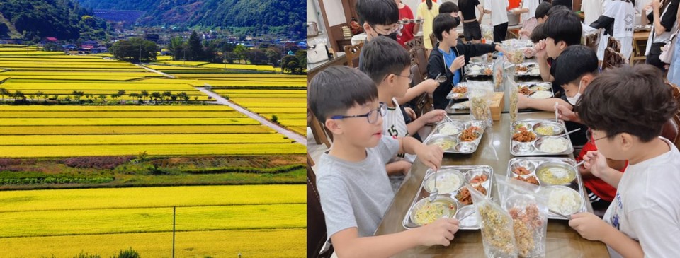 경남 의령군의 청정지역(좌)에서 생산된 맛난 쌀로 점심을 먹고 있는 학생들(우). [의령군 제공]