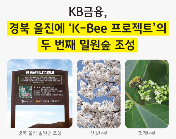 KB금융, 식목일을 맞아 경북 울진에 'K-Bee 프로젝트'의 두 번째 밀원숲 조성 / KB금융 제공