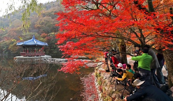 '우화정'의 아름다운 풍경을 사진에 담으려는 사진작가들이 분주하게 움직이고 있다, 11월 2일 오전 촬영분 © 정읍시